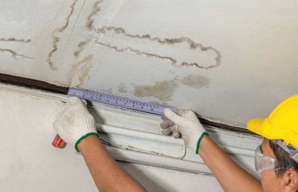 Reliable Water Damage Repair contractor in Charlestown, MD by Hirex Water Damage